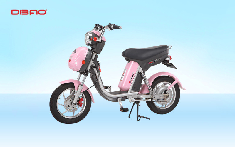 Xe đạp điện Ninja Dibao